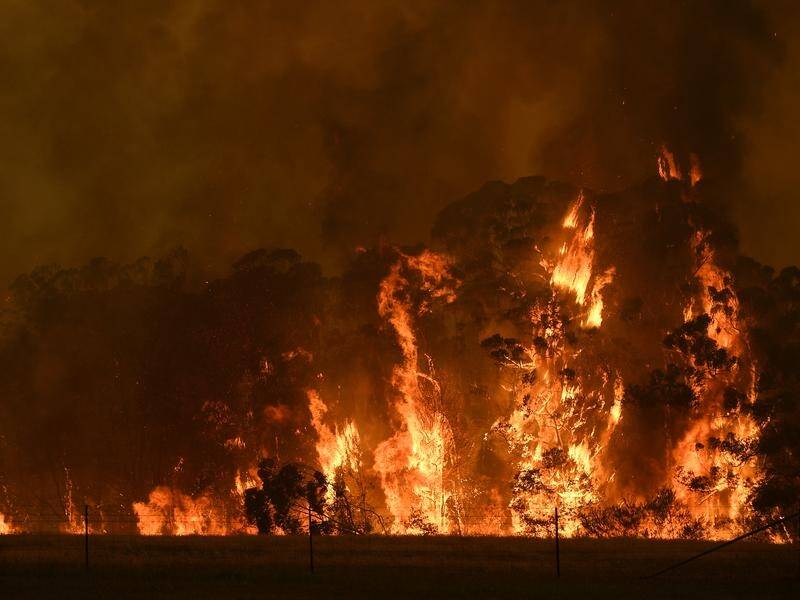 Construction of Buildings in Bushfire-Prone Areas